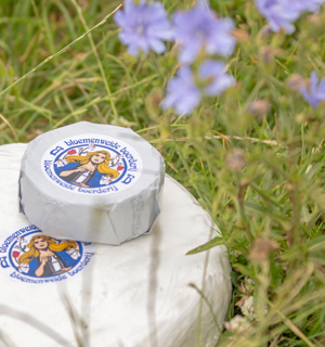 Bloemenweide Brie